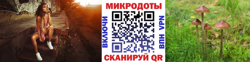 Галлюциногенные грибы прущие грибы  Норильск 